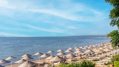 The Holiday Resort