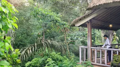 The Kayon Resort