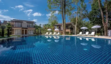 The Leaf by Katathani