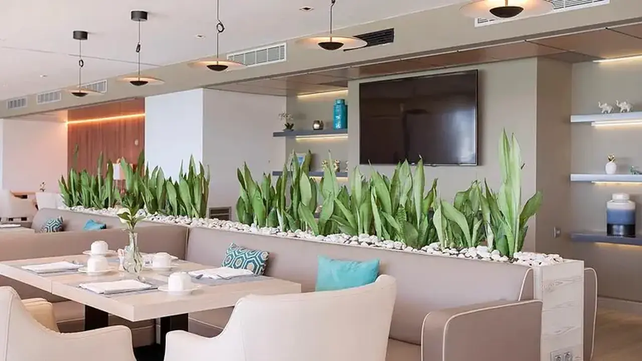 The Level at Melia Alicante