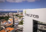 The Lince Azores Great