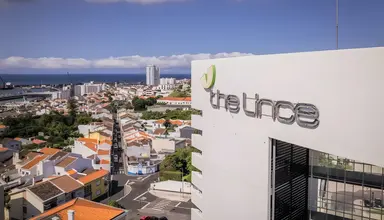 The Lince Azores Great