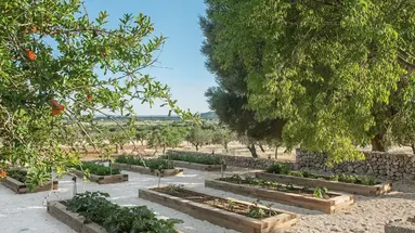 The Lodge Mallorca