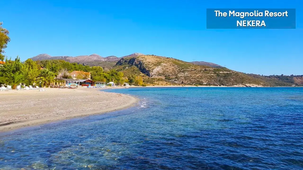 The Magnolia Resort