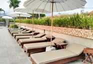 The Mangrove