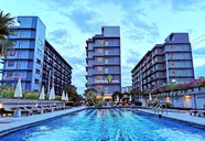 The Mangrove