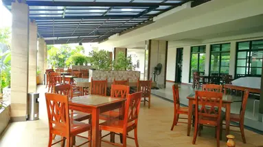 The Mangrove