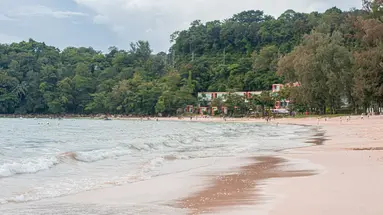 The Marin