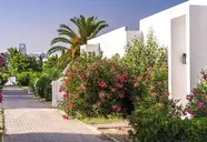 The Mirage Resort & Spa