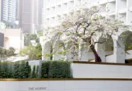 The Murray, Hong Kong, a Niccolo