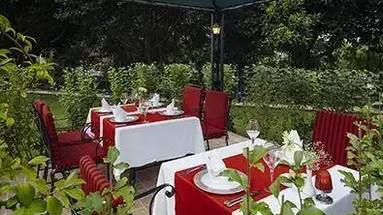 The Norm Oriental 