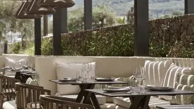 The Olivar Suites