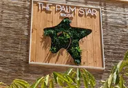 The Palm Star