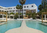 The Palm Star
