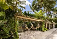The Palms (Miami Beach)