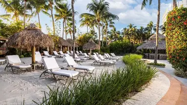 The Palms (Miami Beach)