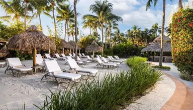 The Palms (Miami Beach)
