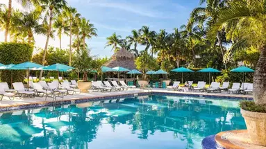 The Palms (Miami Beach)