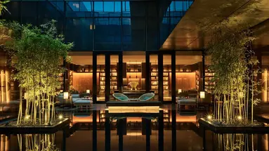 The PuXuan