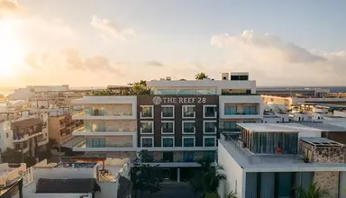 The Reef 28