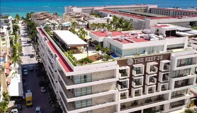 The Reef 28