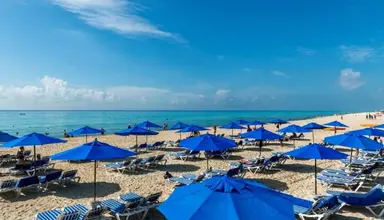 The Reef Playacar Resort & Spa