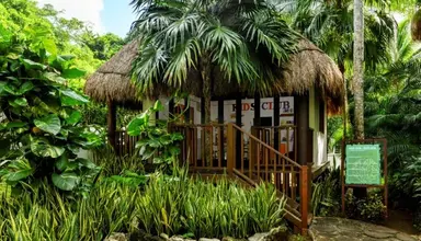 The Reef Playacar Resort & Spa