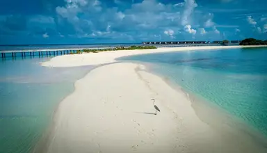 The Residence Maldives Dhigurah