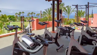 The Ritz Carlton Abama