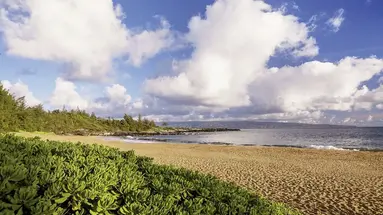 The Ritz-Carlton Maui, Kapalua
