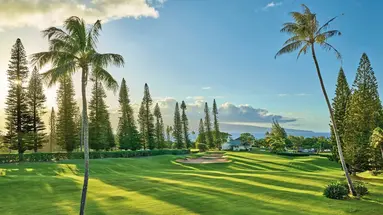 The Ritz-Carlton Maui, Kapalua