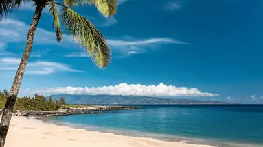 The Ritz-Carlton Maui, Kapalua