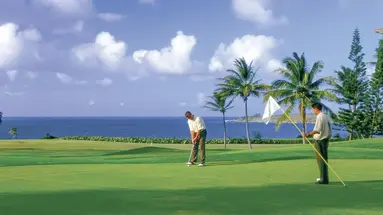 The Ritz-Carlton Maui, Kapalua