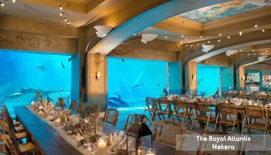 The Royal at Atlantis