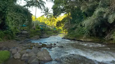 The Samaya Ubud