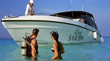 The Sarojin