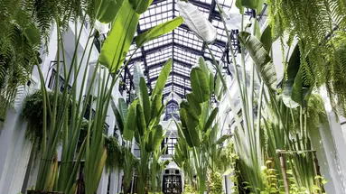 The Siam Hotel Bangkok