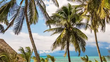 The Soul Beach Hotel & Spa