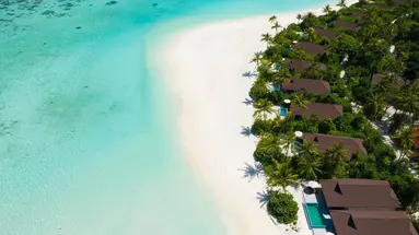 The Standard