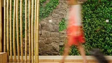 The Tree House