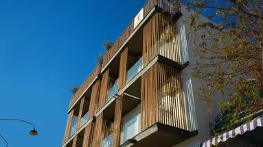 The Tree House