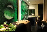 The Views Oasis 