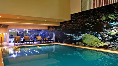 The Views Oasis
