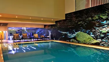 The Views Oasis