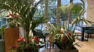 The Village Boutique & Spa