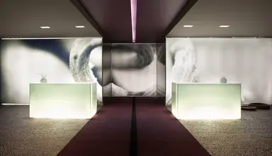 The Vine