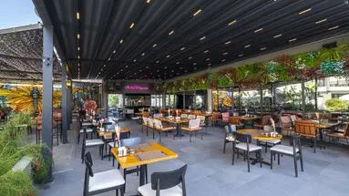 The X Belek