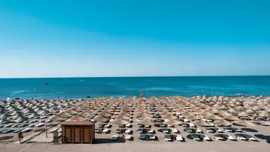 The X Belek