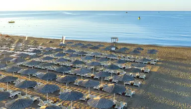 The X Belek