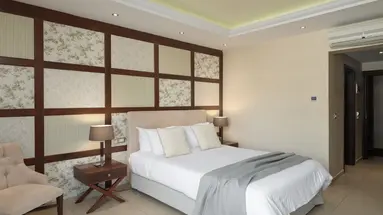 Theartemis Palace